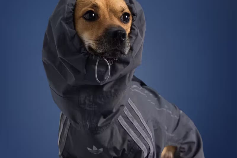 The adidas Pet Fall 2025 Collection To Release in Japan